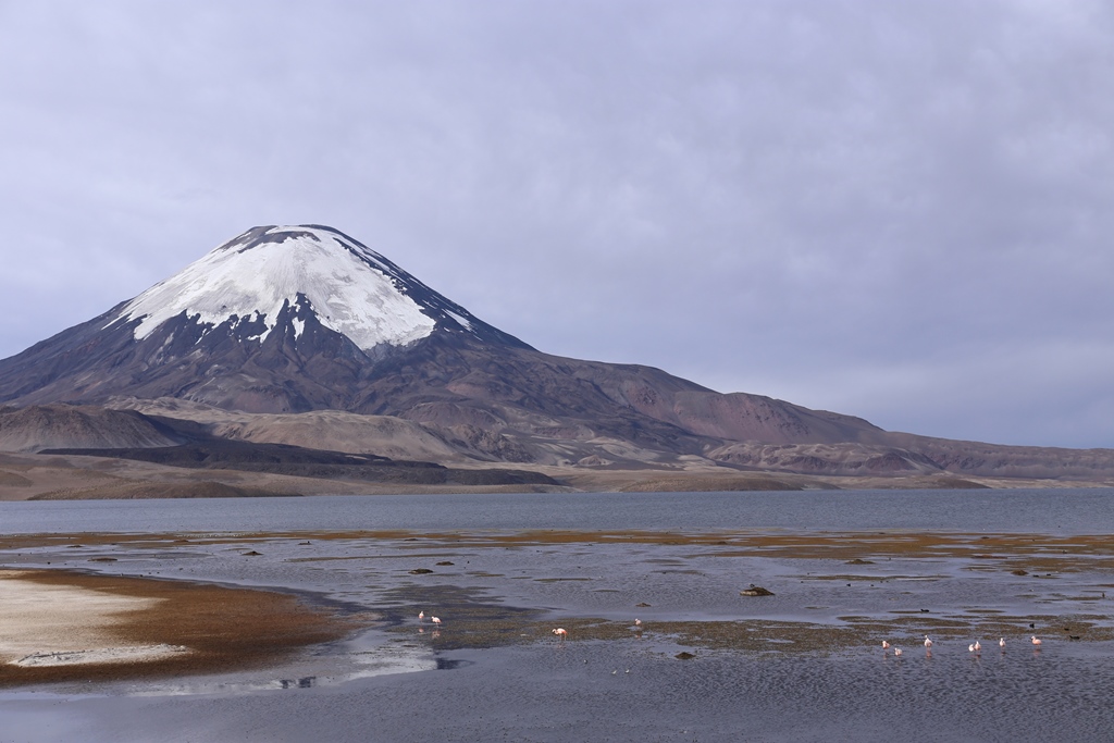 Lago Chungara mit Vulkan Pomerape
